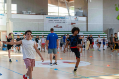 arles-BC-66-S1-2025-251