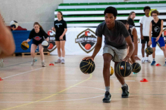 arles-BC-66-S1-2025-253