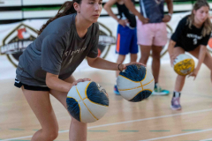 arles-BC-66-S1-2025-255