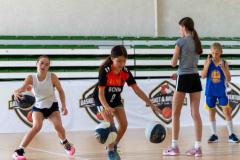 arles-BC-66-S1-2025-260