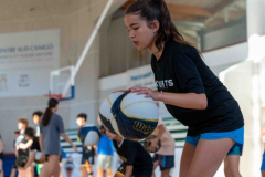 arles-BC-66-S1-2025-261