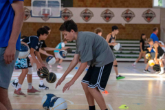 arles-BC-66-S1-2025-263