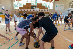 arles-BC-66-S1-2025-269