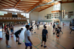 arles-BC-66-S1-2025-3