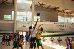 arles-BC-66-S1-2025-334