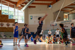 arles-BC-66-S1-2025-338