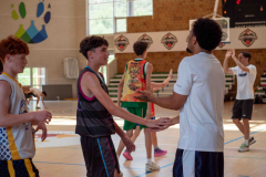 arles-BC-66-S1-2025-342