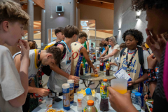 arles-BC-66-S1-2025-349