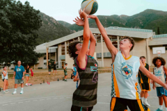 arles-BC-66-S1-2025-42