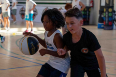 arles-BC-66-S1-2025-5