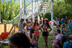 arles-BC66-2025-S2-116