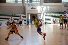 arles-BC66-2025-S2-219