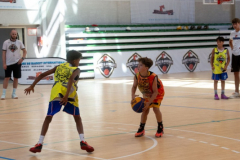 arles-BC66-2025-S2-220