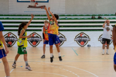 arles-BC66-2025-S2-225