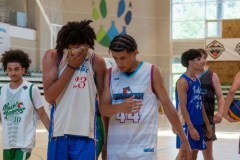 arles-BC66-2025-S2-229