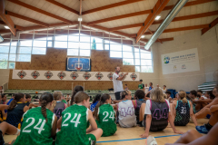 arles-BC66-2025-S2-236