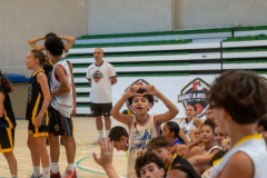 arles-BC66-2025-S2-239