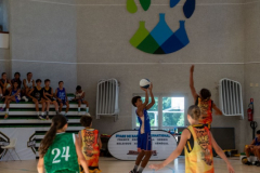 arles-BC66-2025-S2-285