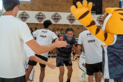 arles-BC66-2025-S2-302