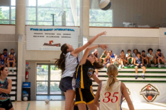 arles-BC66-2025-S2-308