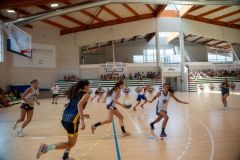 arles-BC66-2025-S2-309