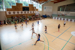 arles-BC66-2025-S2-313