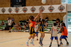 arles-BC66-2025-S2-319