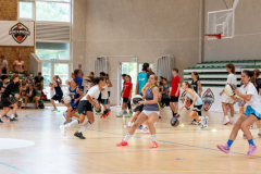 arles-BC66-2025-S2-6