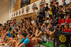 arles-BC66-2025-S2-91