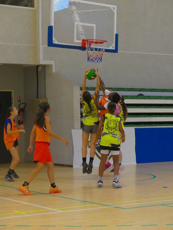 arles-2026-S2-382