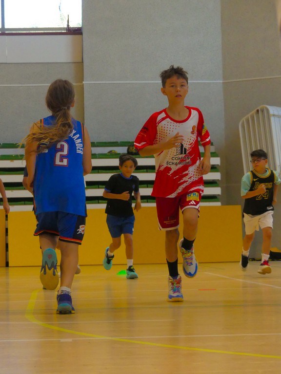 arles-2026-S2-722