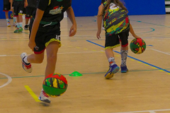 arles-2026-S2-142