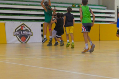 arles-2026-S2-374