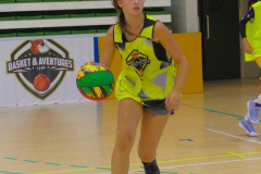 arles-2026-S2-384