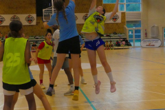 arles-2026-S2-474