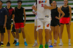arles-2026-S2-730