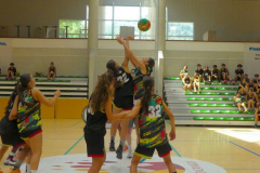 arles-2026-S2-878