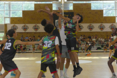 arles-S3-2026-basketaventures-497