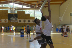 arles-S3-2026-basketaventures-59