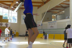 arles-S3-2026-basketaventures-66