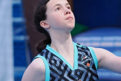 MAGICinLANNION2024-1000-Copier