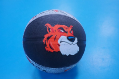 MAGICinLANNION2024-1183-Copier