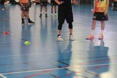 MAGICinLANNION2024-270-Copier