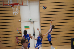 MAGICinREIMS2025-106-Copier