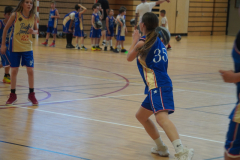 MAGICinREIMS2025-211-Copier