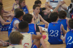 MAGICinREIMS2025-239-Copier