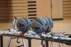 MAGICinREIMS2025-431-Copier