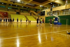 stage-de-basket-aventures-à-monaco-2011-245-Copier