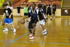 stage-de-basket-aventures-à-monaco-2011-36-Copier
