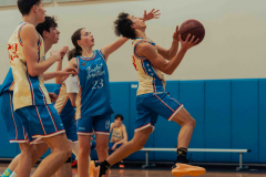 basketaventuress2-01033